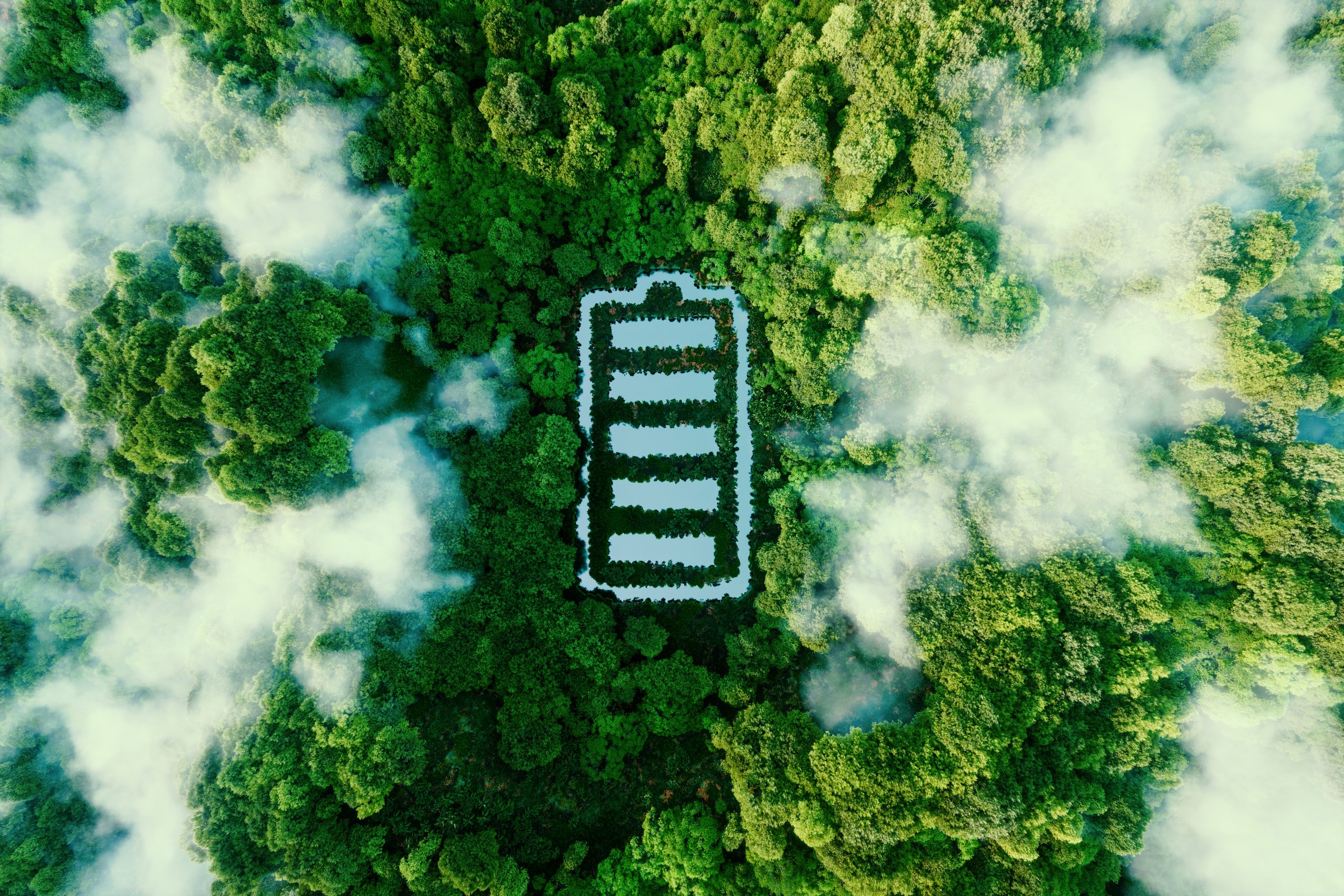 Overhead view of forest with a large white battery in the middle